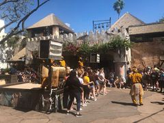 -奥兰多迪士尼动物王国乐园