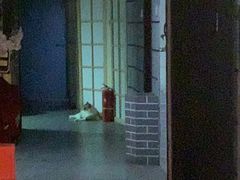 -白兔子密室(长寿路店)