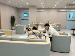 -上海和平眼科医院