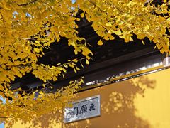 -灵岩山风景区