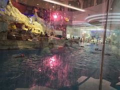 -帝企鹅自助餐厅•儿童岛•真企鹅(长隆企鹅酒店)