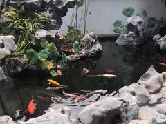 -道南書院·私房菜·早午茶·茶馆