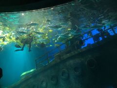 -福州罗源湾海洋世界旅游区