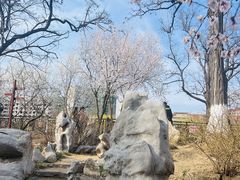 -桃花堤公园