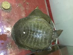 湘沪一家人(临青路店)-湘沪一家人(临青路店)