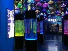 -沙沙哗啦海洋馆(华宇百花谷店)