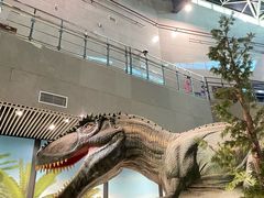 -湖南省地质博物馆