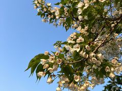 -玄武湖景区-情侣园游乐场