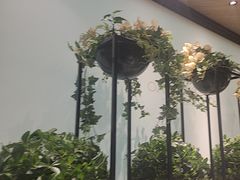 -川骄海鲜自助(亚运村店)