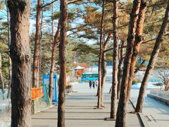 -帽儿山国家森林公园