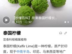 -柠季·手打柠檬茶(静安大悦城北座B1店 )