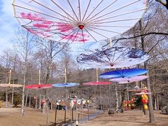 -溪口商量岗景区
