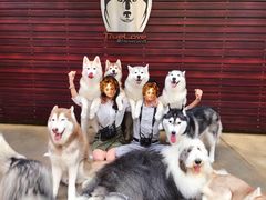 -TrueLove @ Neverland (Husky Cafe)
