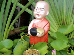 -西双版纳傣族园