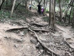 -紫金山山顶公园
