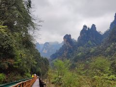 -十里画廊