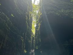 -梭布垭石林景区