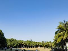 -深圳湾公园(南山区)