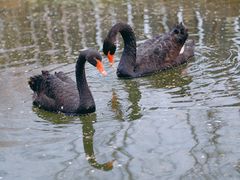 -三里河公园