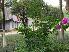 -四川大学(华西校区)