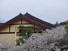 -庐山风景名胜区-东林大佛