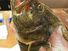 左口鱼-尚海豆捞(乐虹坊店)