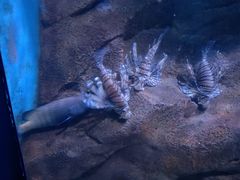 -多彩贵州城极地海洋世界