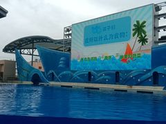 -上海海昌海洋公园