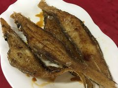 -蛇口康乐快餐鱼仔档(翠苑小区店)
