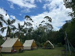 -芭厘·农庄老字号.电饭煲五指毛桃焗鸡