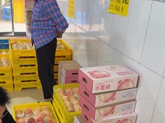 -老袁家蜜桃农场·阳山水蜜桃