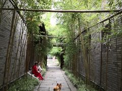 -龙潭水乡