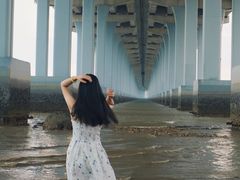 -宝安西湾红树林湿地公园