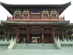 -西安乐游原