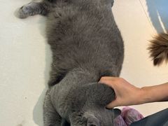-平行世界·猫咖(首经贸店)