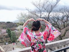 -有栖山 清光院 清水寺