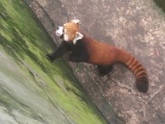 -昆明动物园