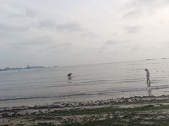 -青岛第二海水浴场