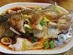 -沈记菜馆(酒仙桥路店)