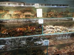 -超级物种(省府店)