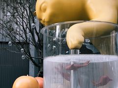 -深圳湾万象城(南山店)