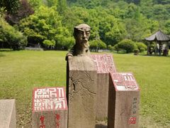 -鲁镇