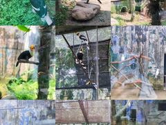 -杭州野生动物世界