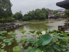 -国恩寺