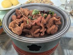 -春满园生态餐厅(南宫路店)