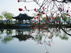 -无锡蠡湖国家湿地公园-蠡园