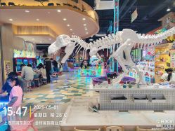 -卡通尼·Safari非洲探索乐园·生日会(金桥国际商业广场店)