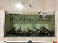 -海盗餐厅