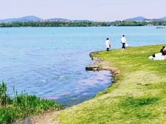 -贡湖湾湿地公园