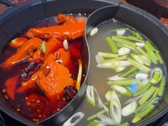 -赵美丽·重庆社区火锅·直营店(火车东站·中豪国际店)